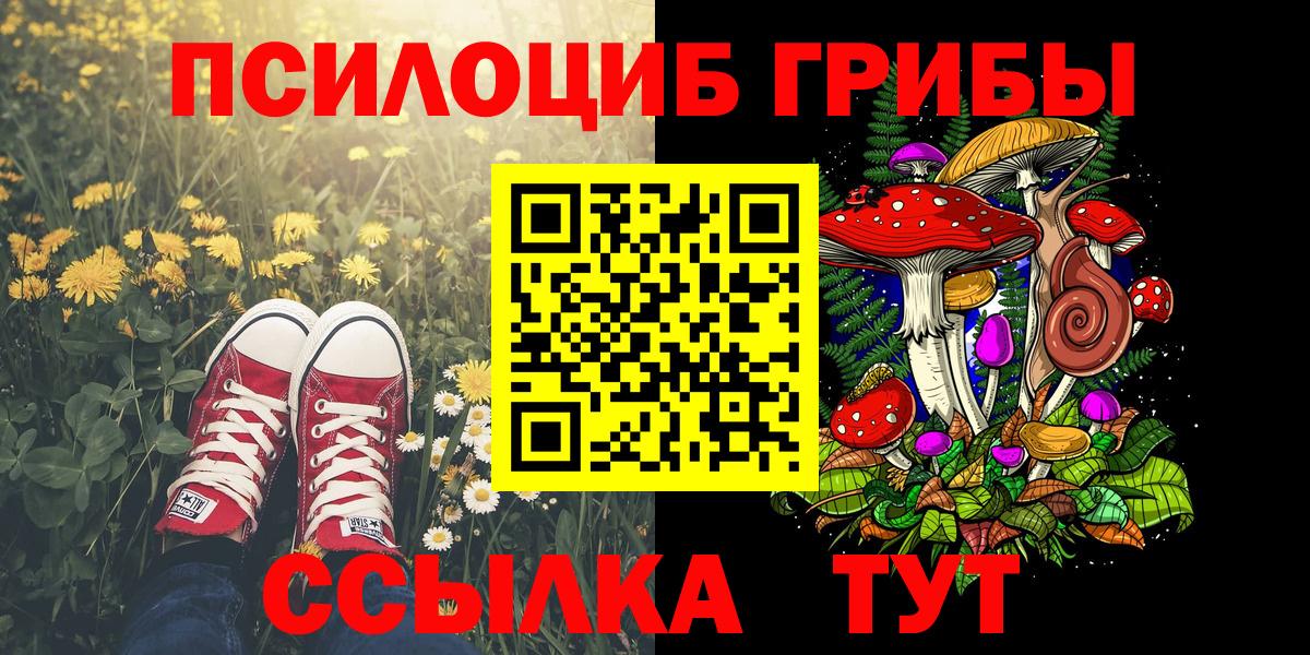 Галлюциногенные грибы прущие грибы Осинники