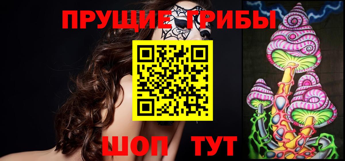 Галлюциногенные грибы Magic Shrooms  Вход с VPN  Осинники  Псилоцибиновые грибы MAGIC MUSHROOMS 